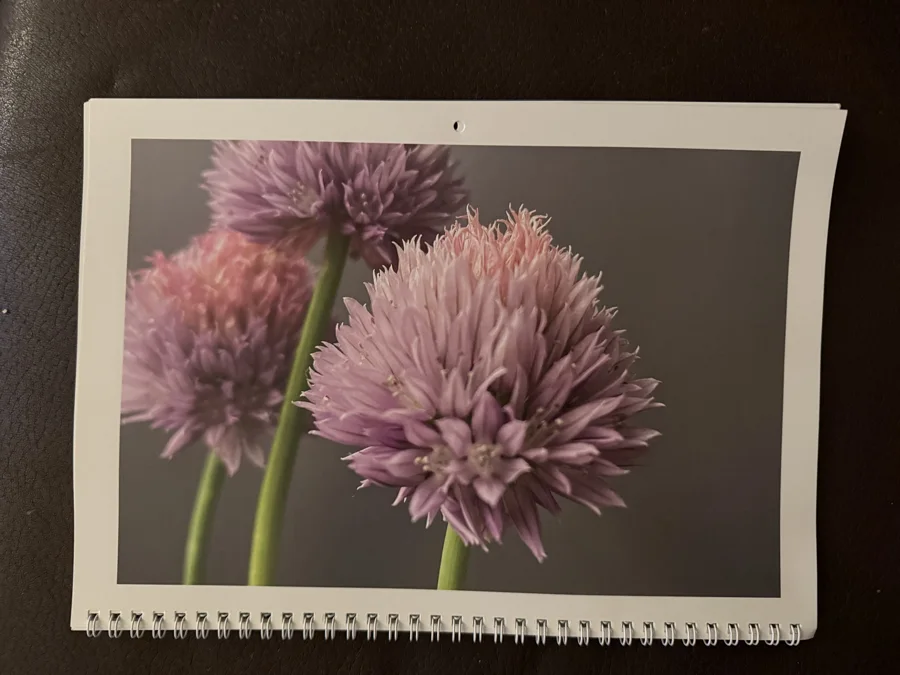 2024 printed calendar: Purple blossoms
