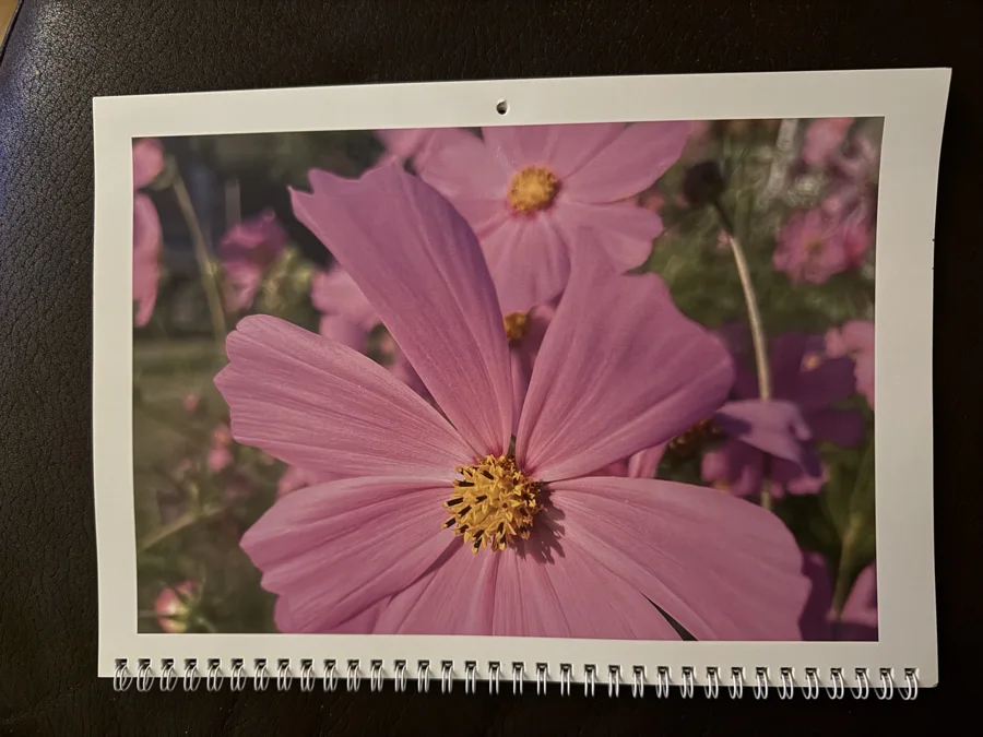 2024 printed calendar: Cosmos