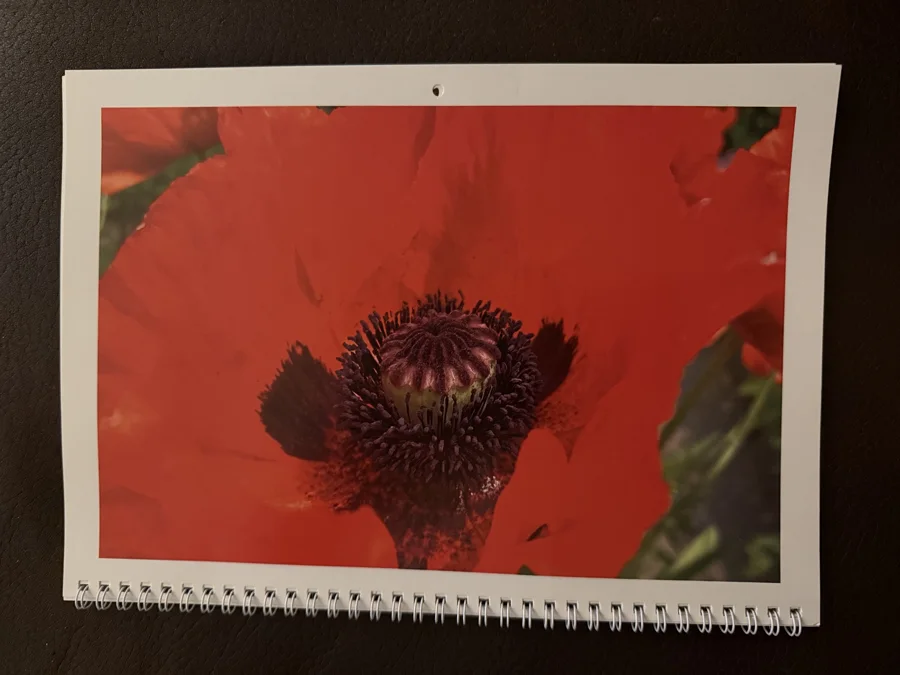2024 printed calendar: Red poppy