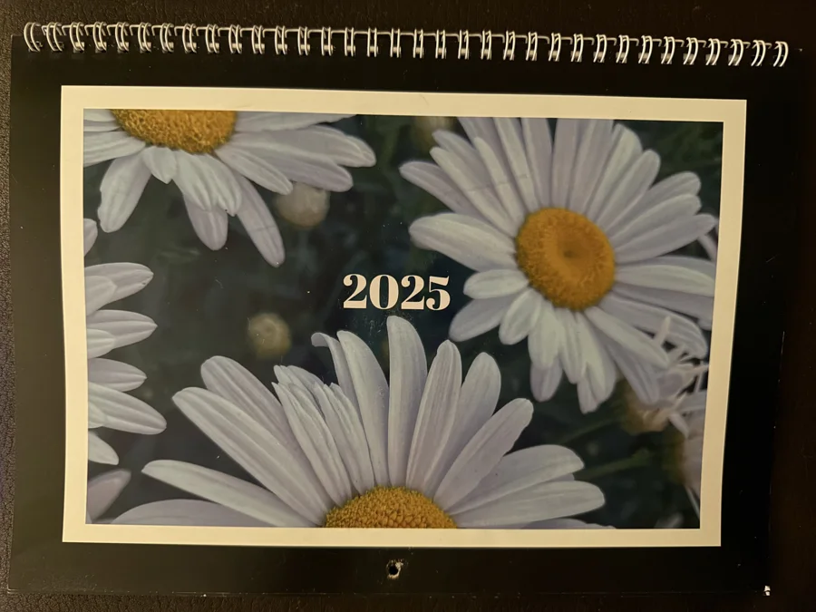 2025 printed calendar: Cover — daisies