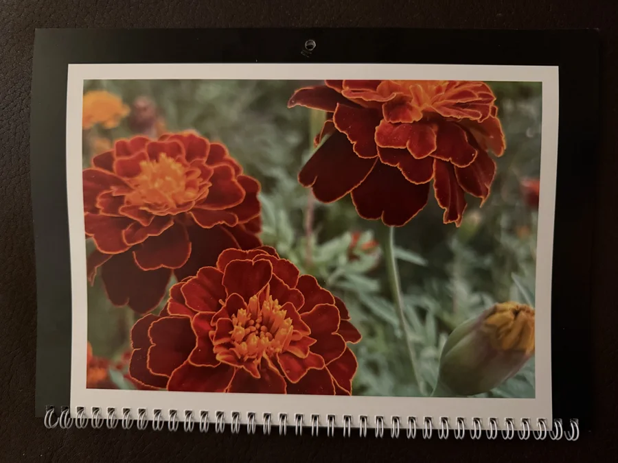 2025 printed calendar: Marigolds