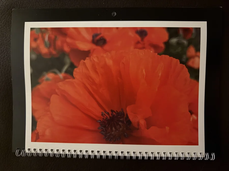 2025 printed calendar: Orange cosmos