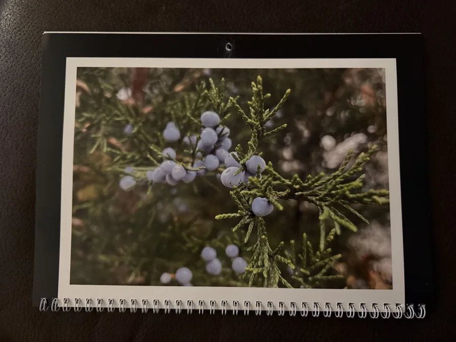 2026 printed calendar: Blue blossoms