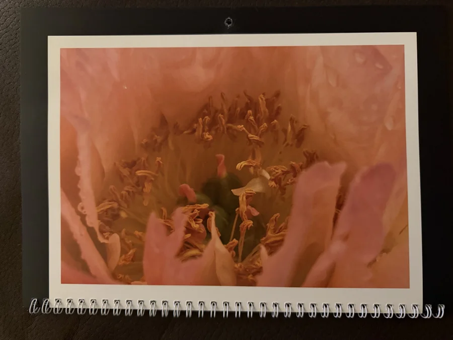 2026 printed calendar: Petal detail