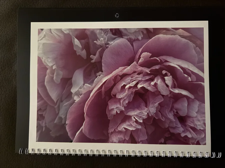2026 printed calendar: Peony