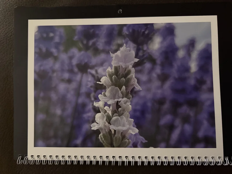 2026 printed calendar: Lavender