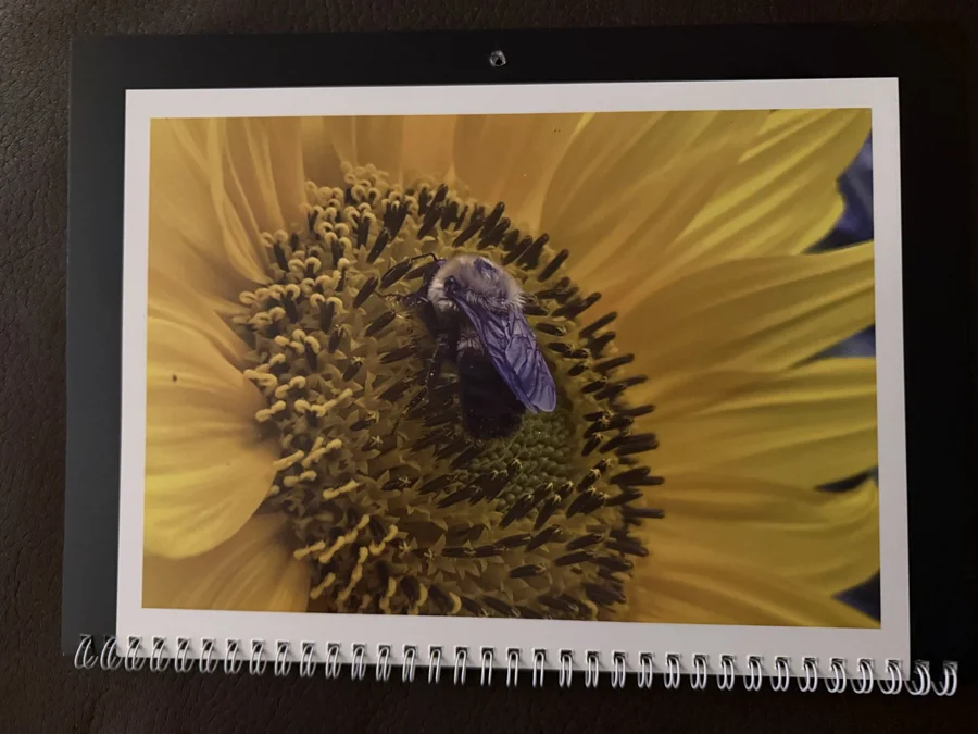 2026 printed calendar: Sunflower & bee