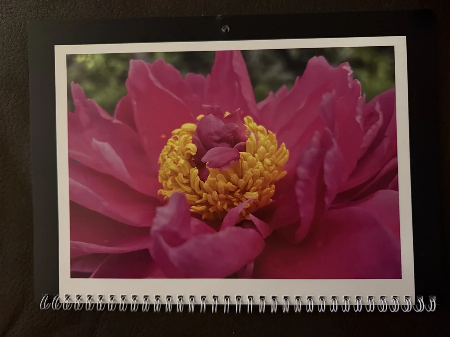 2026 printed calendar: Pink bloom