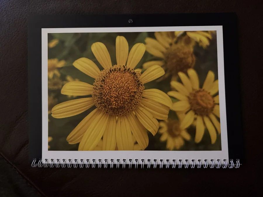 2026 printed calendar: Golden flowers