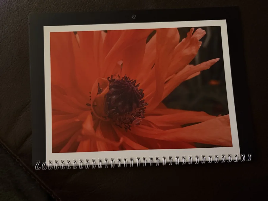 2026 printed calendar: Orange flower