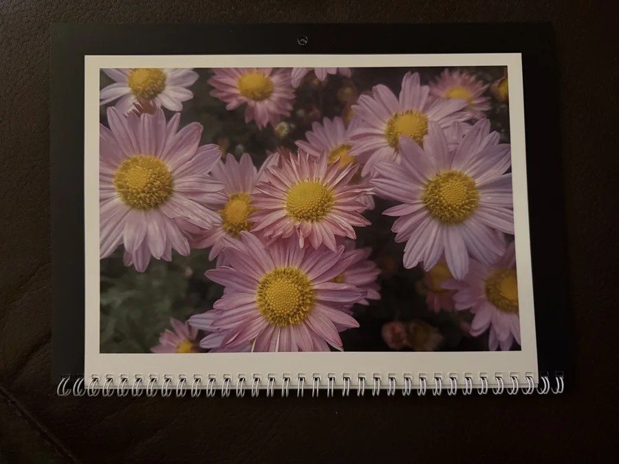 2026 printed calendar: Purple daisies