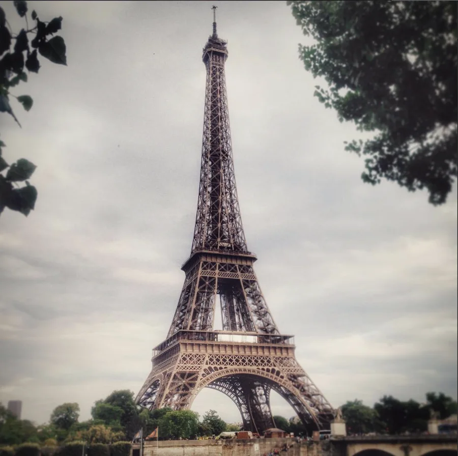 Eiffel Tower framed by foliage under an overcast sky
