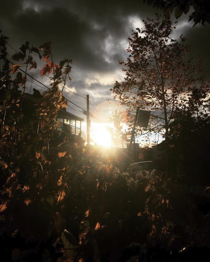 Sunlight breaking through dark clouds and autumn leaves