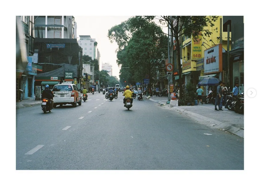 Motorbikes on a tree-lined urban street