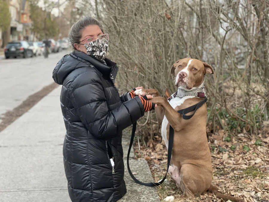Tony standing on his hind legs beside a woman