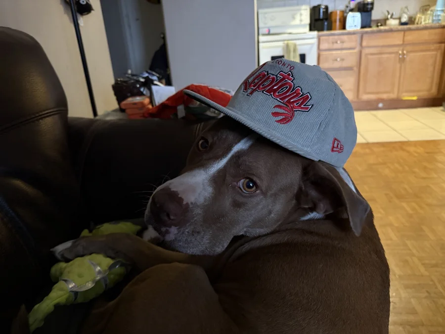 Tony in a pale baseball cap