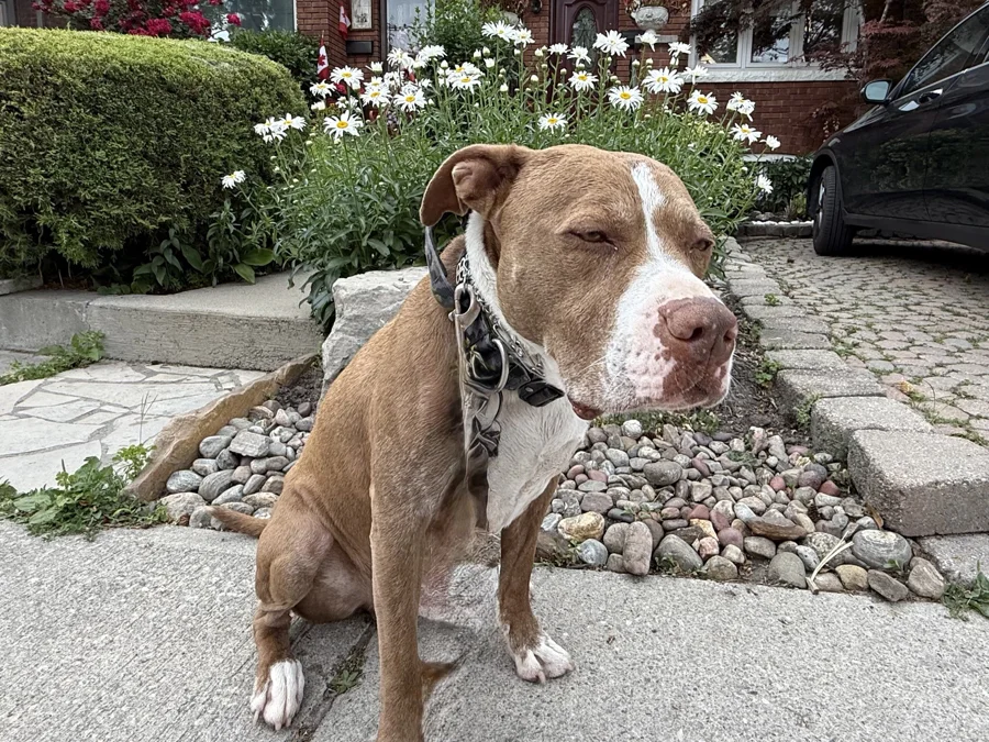 Tony sitting outdoors