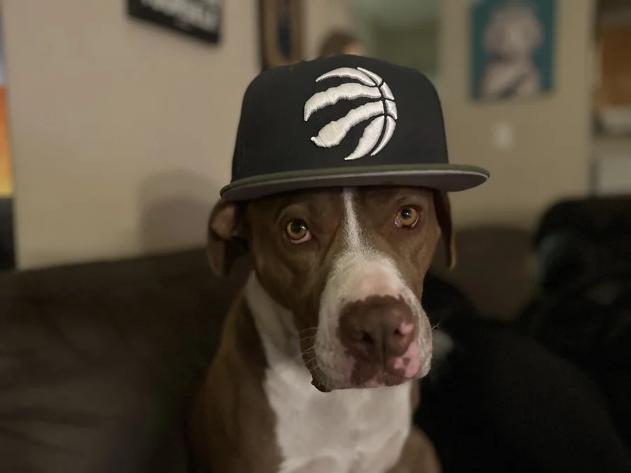 Tony wearing a Toronto Raptors cap
