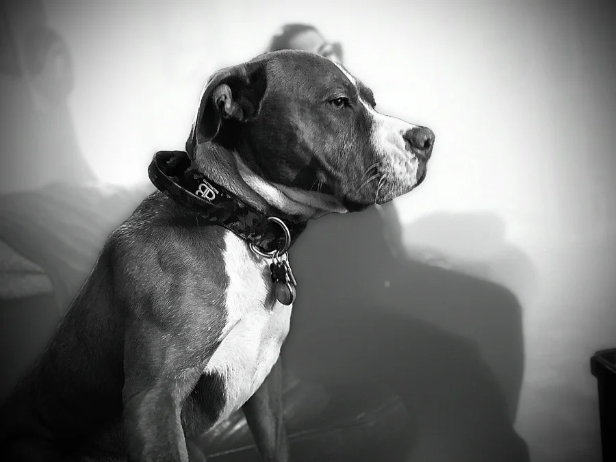 Black and white profile portrait of Tony