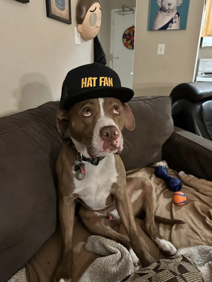Tony wearing a Hat Fan baseball cap
