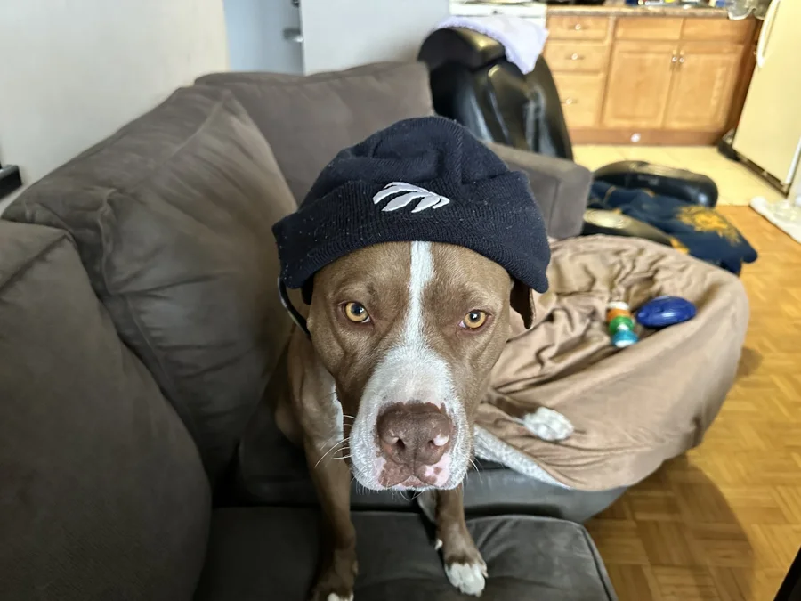 Tony wearing a black cap