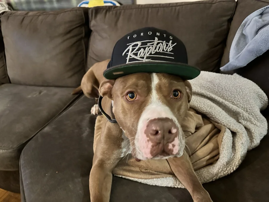 Tony wearing a Raptors cap