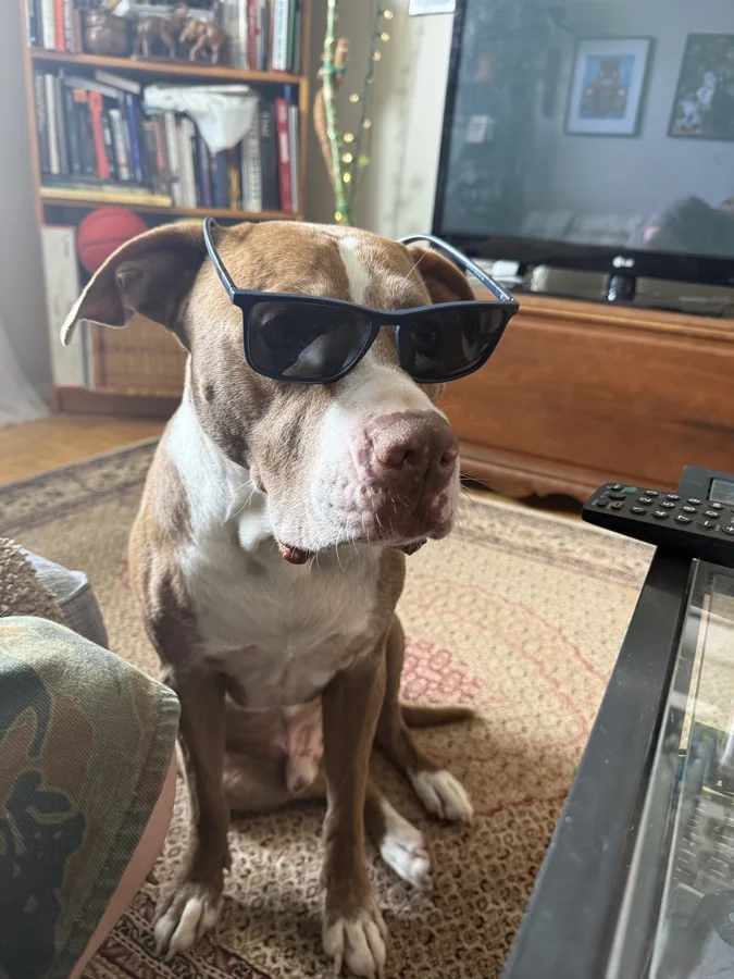 Tony wearing sunglasses
