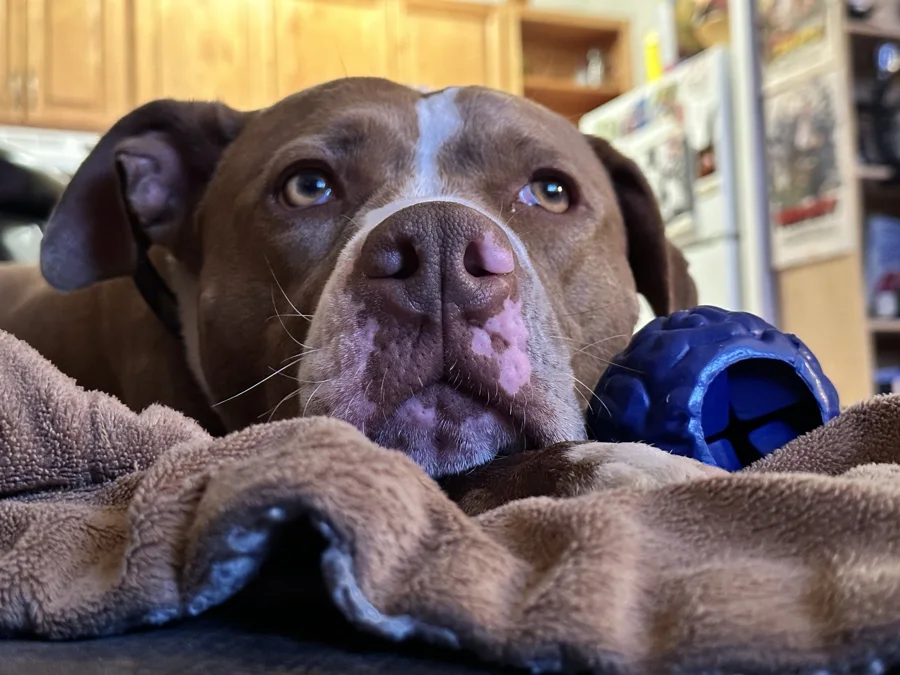 Tony relaxing beside a blue ball
