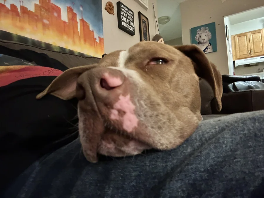 Tony resting his head on someone’s lap