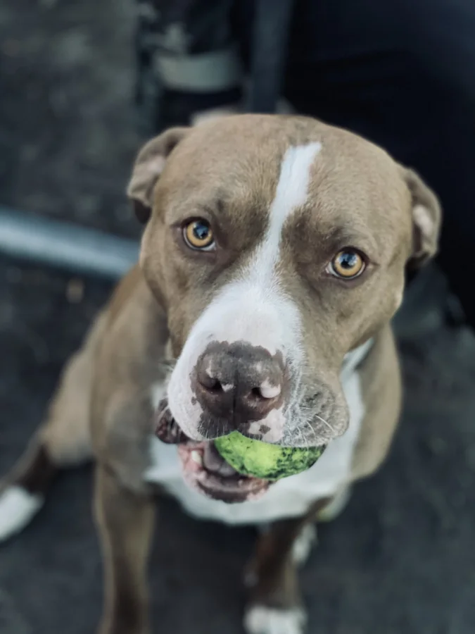 Tony holding a ball
