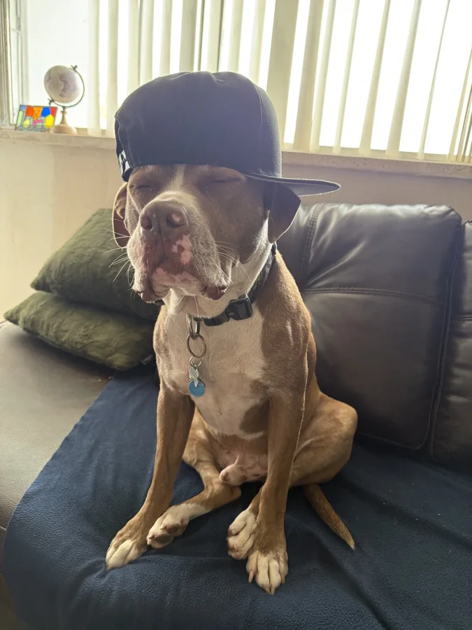 Tony sitting on a sofa